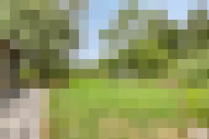 Biezendijk 34 Veghel thumbnail 62
