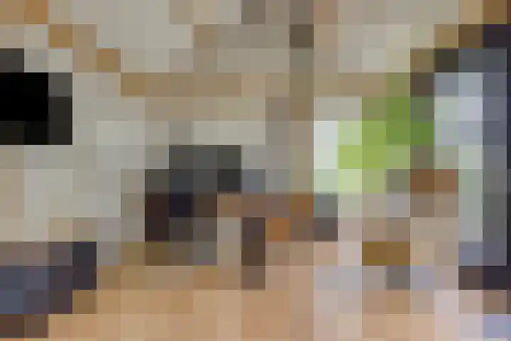 Biezendijk 34 Veghel thumbnail 64