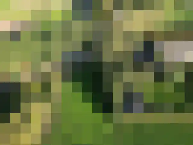 Biezendijk 34 Veghel thumbnail 72