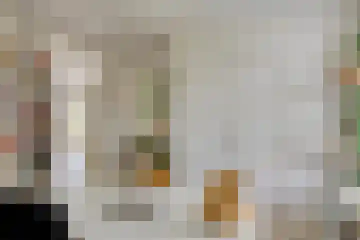 Biezendijk 34 Veghel thumbnail 8