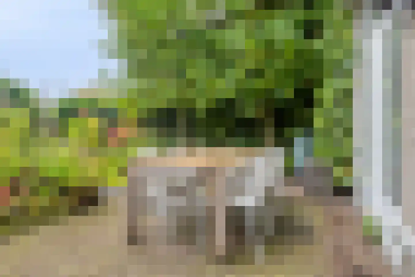 Biezenlaan 38 Helmond thumbnail 13