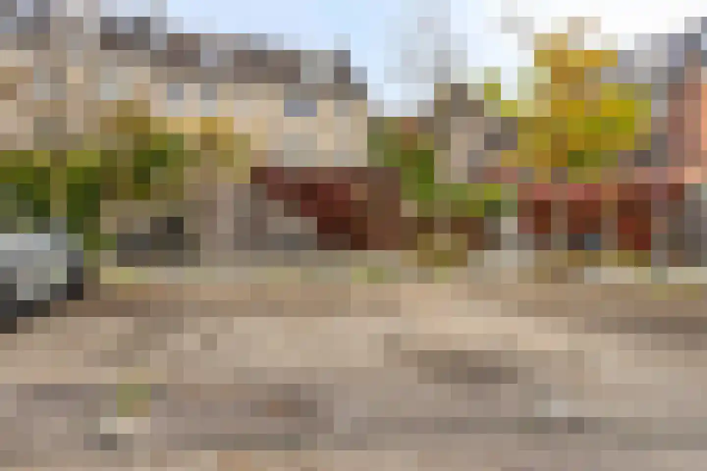 Biezenlaan 38 Helmond thumbnail 18