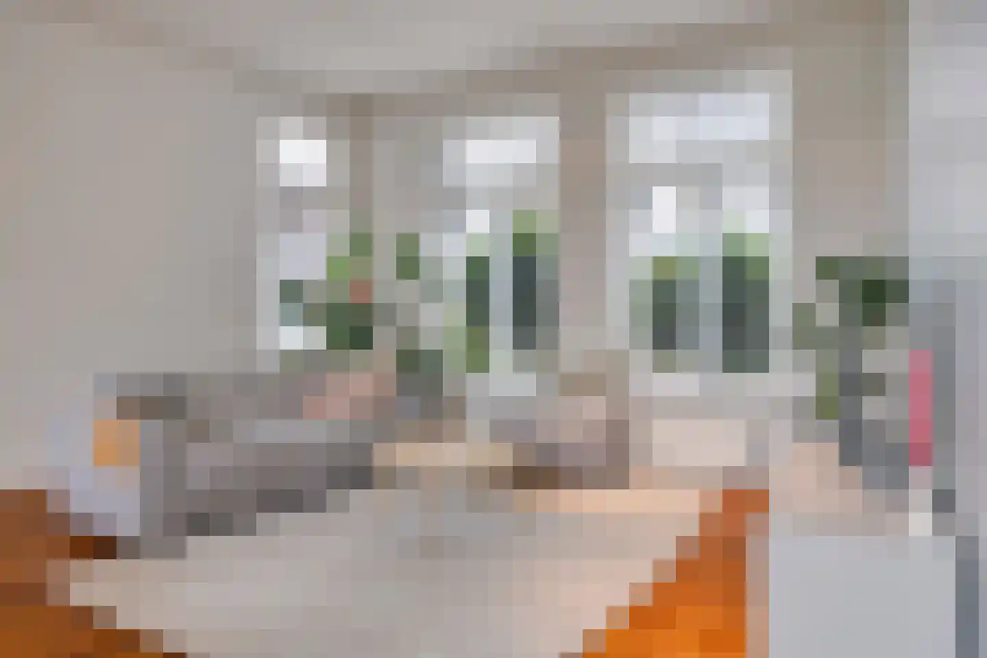 Biezenlaan 38 Helmond thumbnail 6