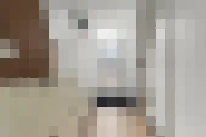 Biezenlaan 50 Arnhem thumbnail 13