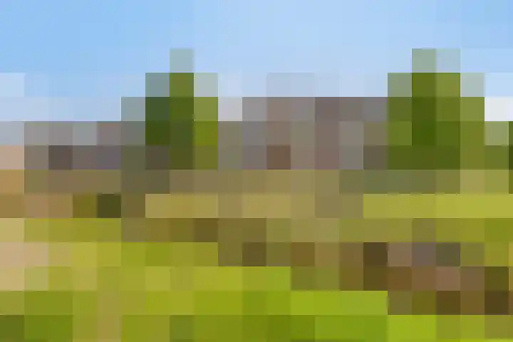 Biezenloop 117 Heesch