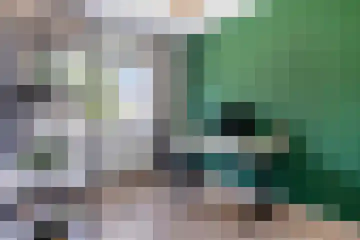 Biezenloop 18 Heesch thumbnail 16