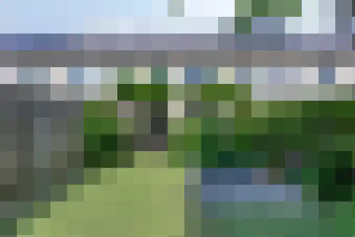 Biezenloop 18 Heesch foto 2