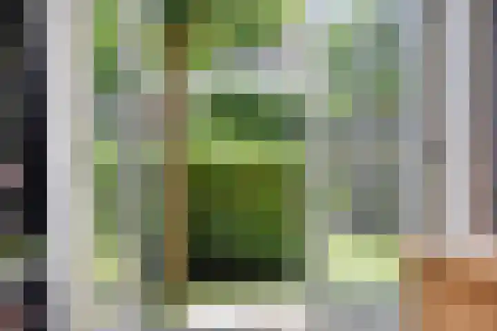 Biezenloop 18 Heesch thumbnail 23