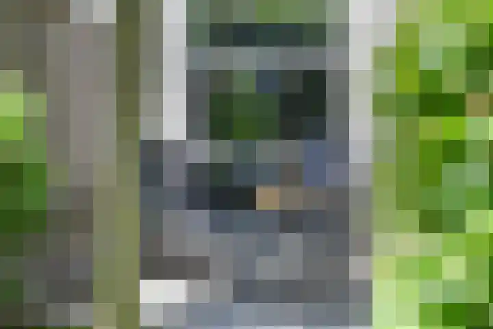 Biezenloop 18 Heesch thumbnail 24