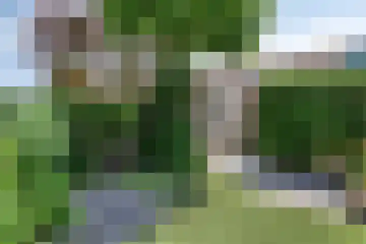 Biezenloop 18 Heesch thumbnail 25