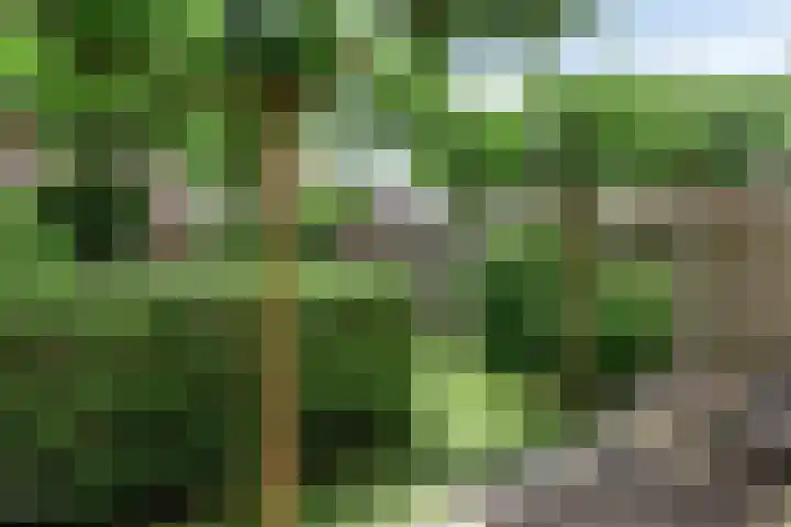 Biezenloop 18 Heesch thumbnail 26