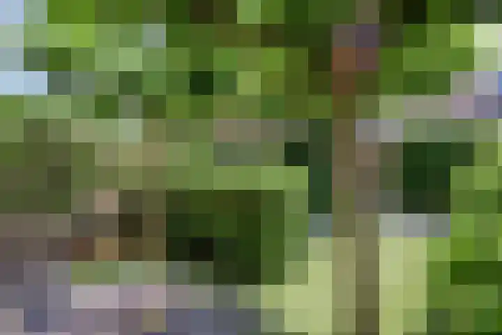 Biezenloop 18 Heesch thumbnail 27