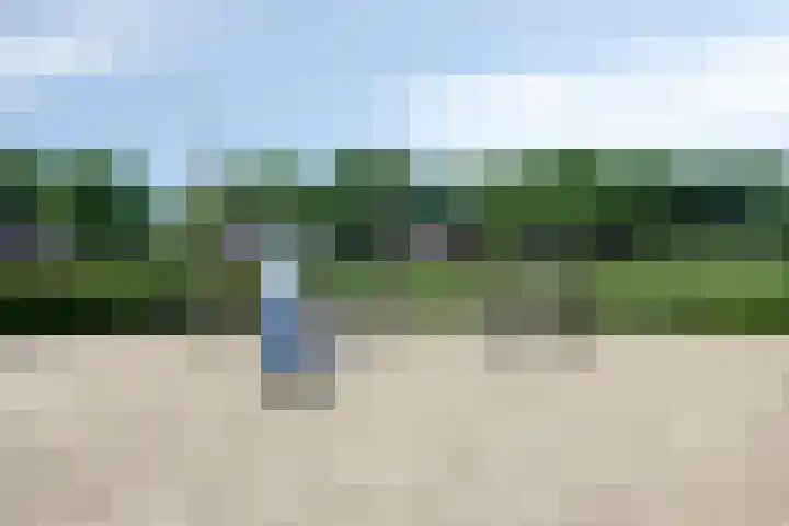 Biezenloop 18 Heesch thumbnail 29