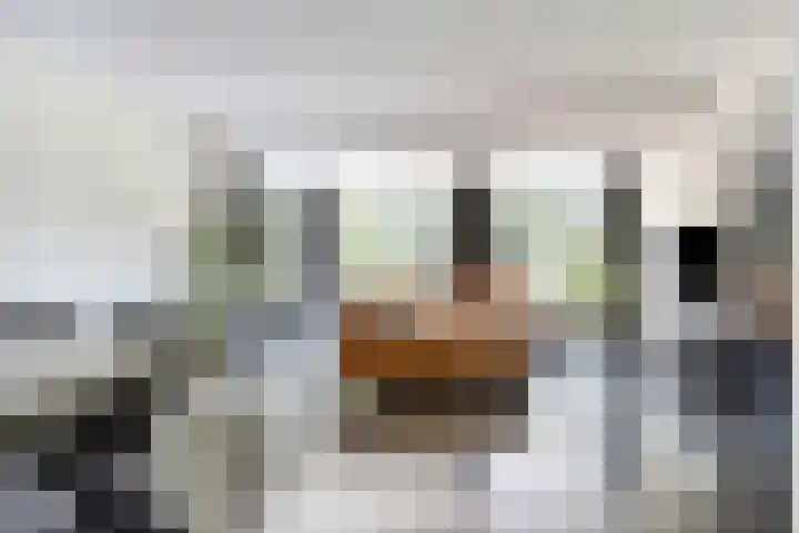 Biezenloop 18 Heesch thumbnail 5