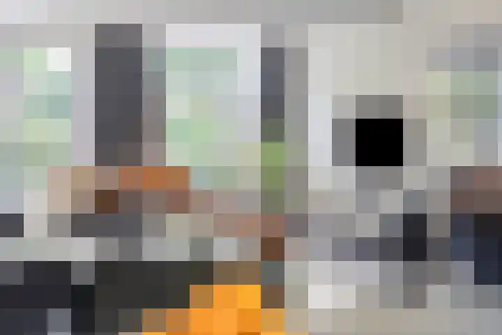 Biezenloop 18 Heesch thumbnail 7