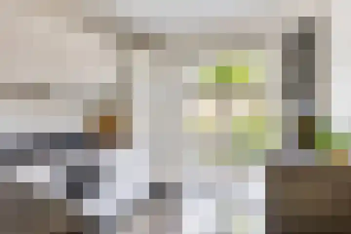 Biezenloop 18 Heesch thumbnail 9