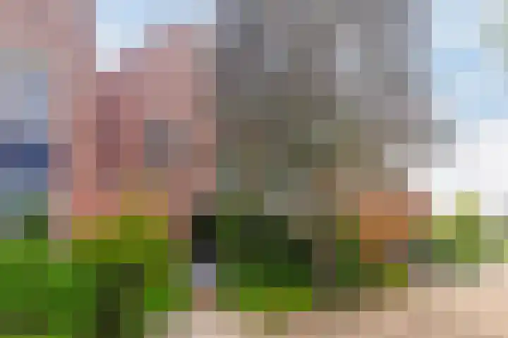 Biezenloop 24 Tilburg