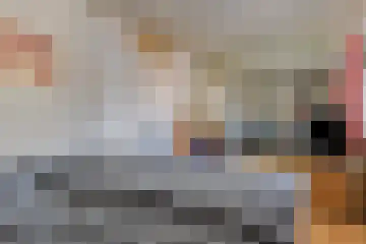 Biezenloop 24 Tilburg thumbnail 12