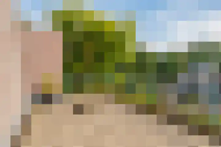 Biezenloop 24 Tilburg thumbnail 20
