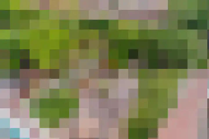 Biezenloop 24 Tilburg thumbnail 23