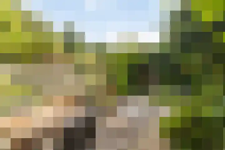 Biezenloop 24 Tilburg thumbnail 24