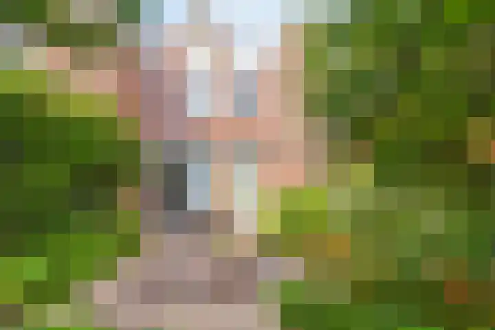 Biezenloop 24 Tilburg thumbnail 26