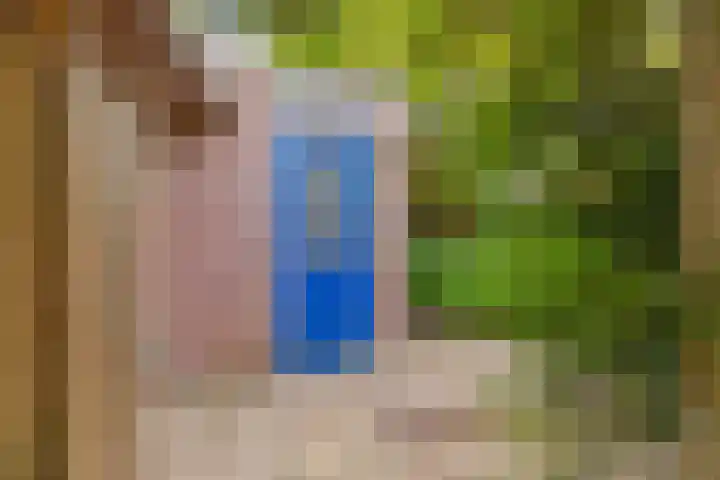 Biezenloop 24 Tilburg thumbnail 27