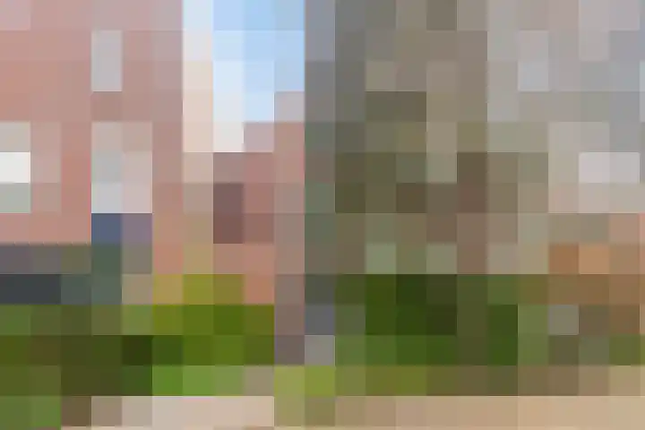 Biezenloop 24 Tilburg thumbnail 29