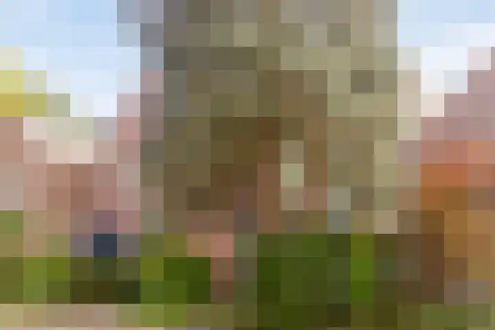 Biezenloop 24 Tilburg thumbnail 30