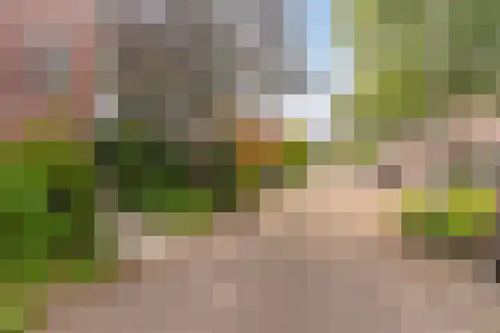 Biezenloop 24 Tilburg thumbnail 31