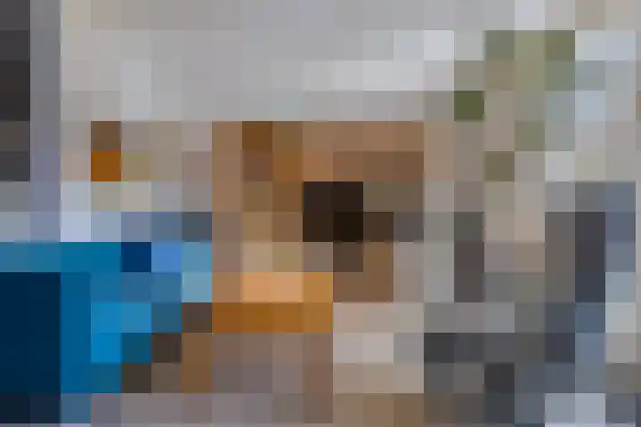 Biezenloop 24 Tilburg thumbnail 7