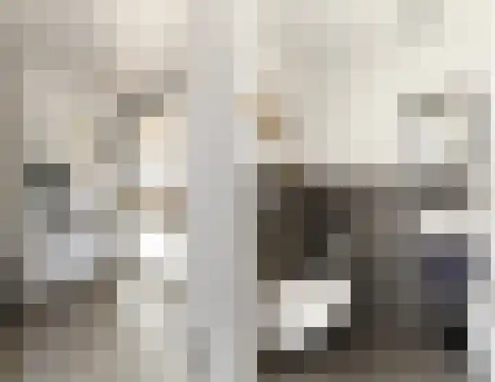 Biezenloop 6 Tilburg thumbnail 20