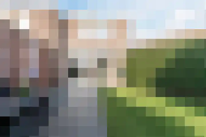 Biezenloop 6 Tilburg thumbnail 39