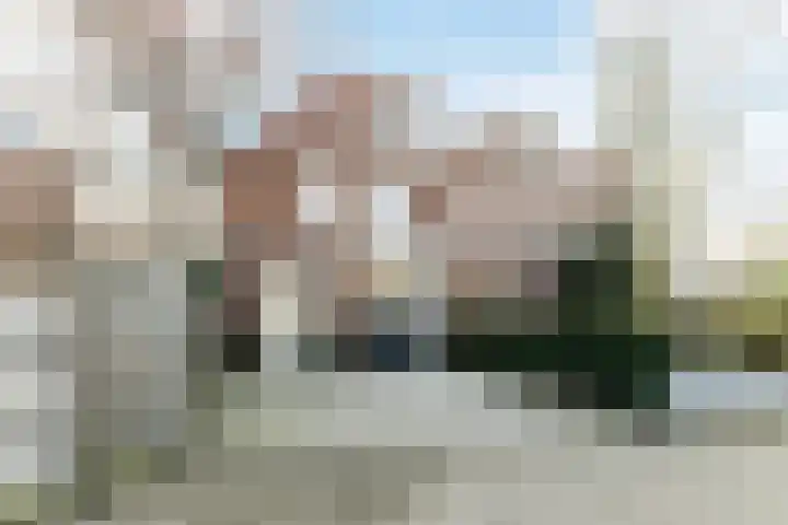 Biezenloop 6 Tilburg thumbnail 41