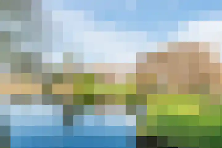 Biezenloop 6 Tilburg thumbnail 44