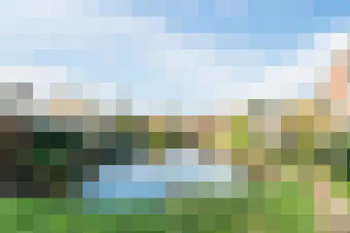 Biezenloop 6 Tilburg thumbnail 46