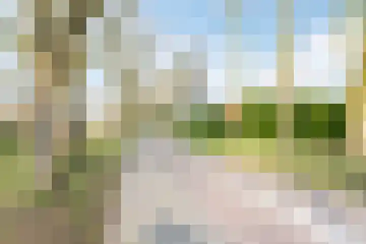 Biezenloop 6 Tilburg thumbnail 47