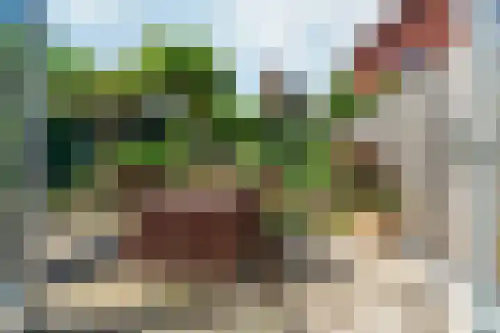 Biezenstraat 1 Groesbeek thumbnail 30