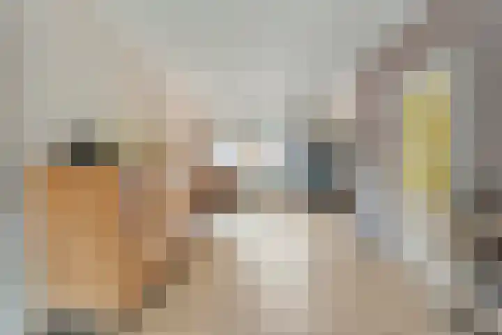 Biezenstraat 8 Dalen thumbnail 17