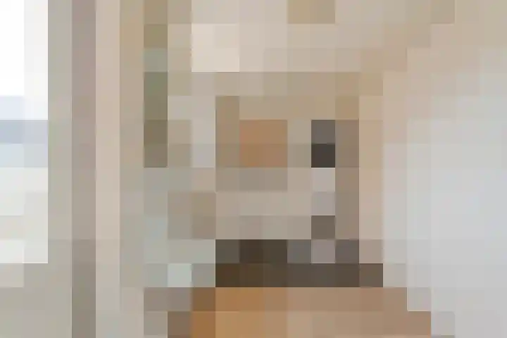 Biezenstraat 8 Dalen thumbnail 23