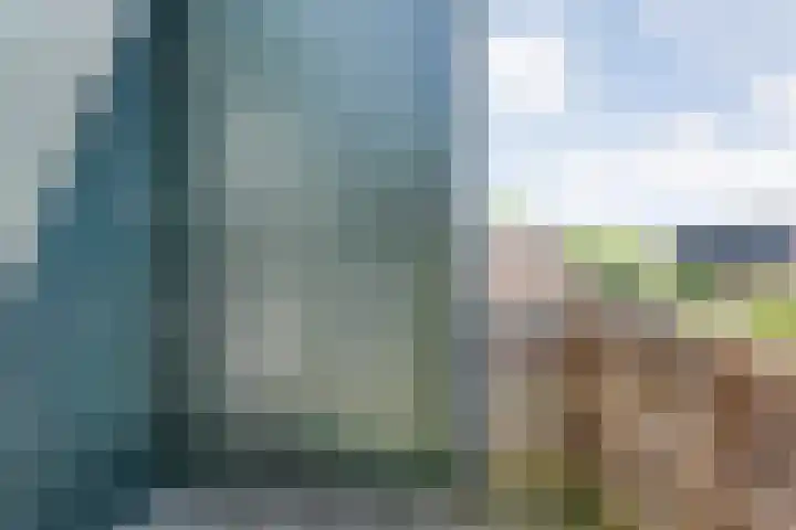 Biezenstraat 8 Dalen thumbnail 32
