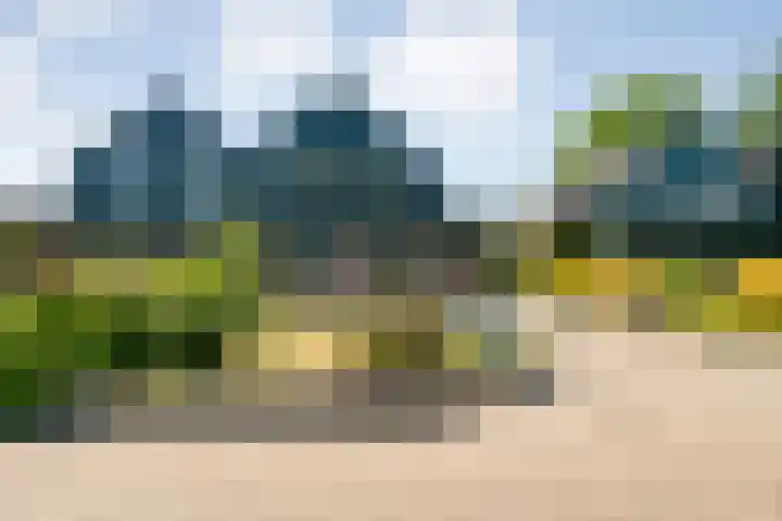 Biezenstraat 8 Dalen thumbnail 4