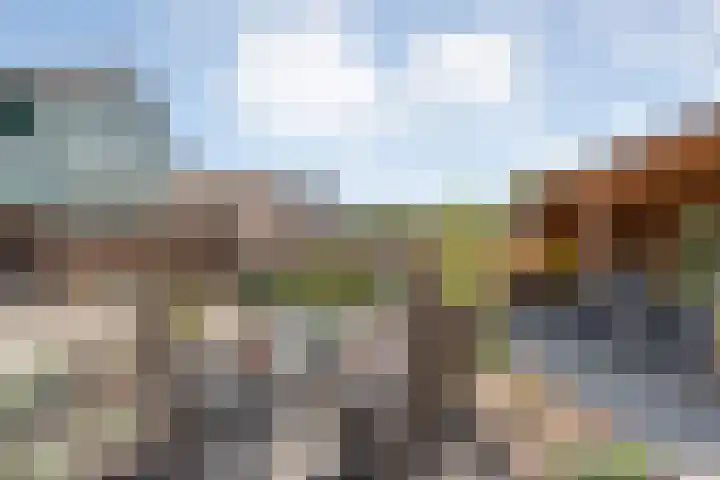 Biezenstraat 8 Dalen thumbnail 42