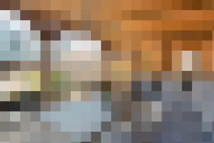 Biezenstraat 8 Dalen thumbnail 46