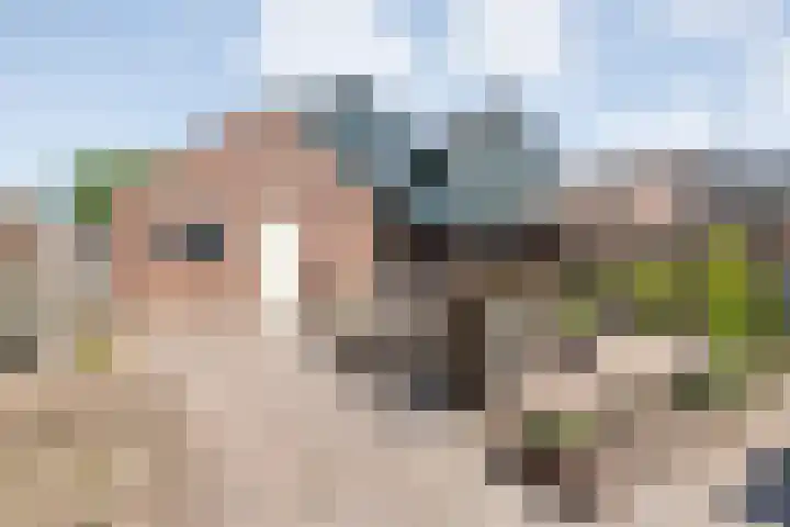 Biezenstraat 8 Dalen thumbnail 48