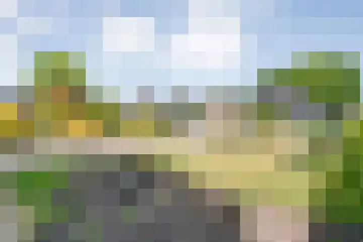 Biezenstraat 8 Dalen thumbnail 9