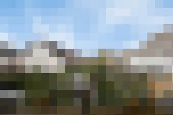 Biezenveld 30 Assen thumbnail 10
