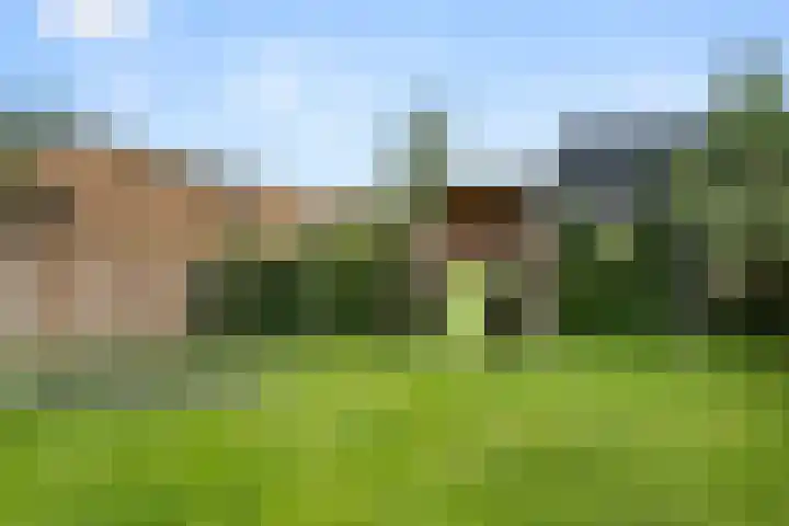 Biezenveld 30 Assen thumbnail 11