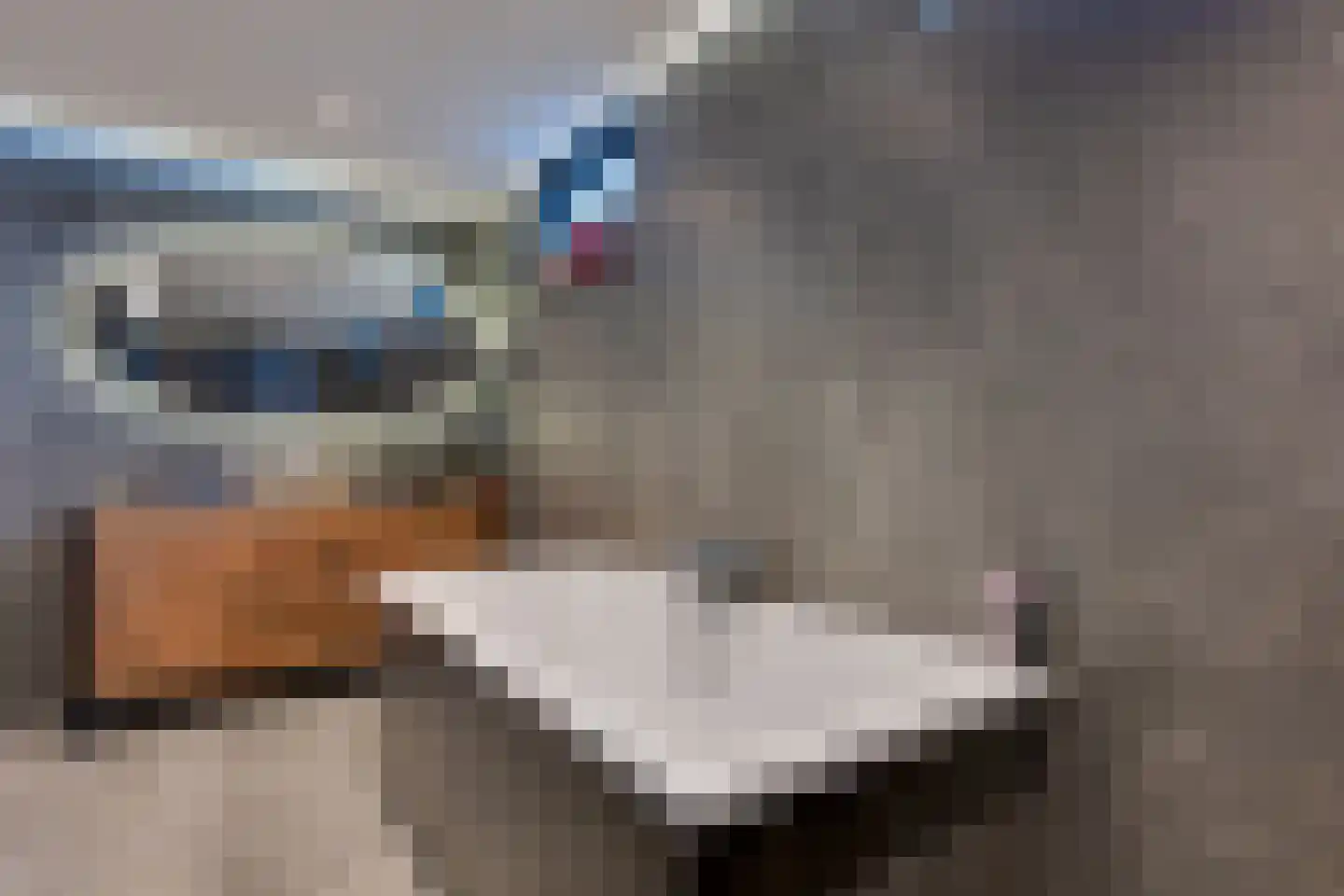 Biezenveld 30 Assen thumbnail 26