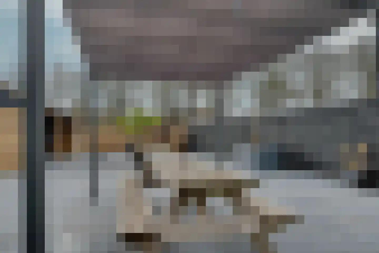 Biezenveld 30 Assen thumbnail 28